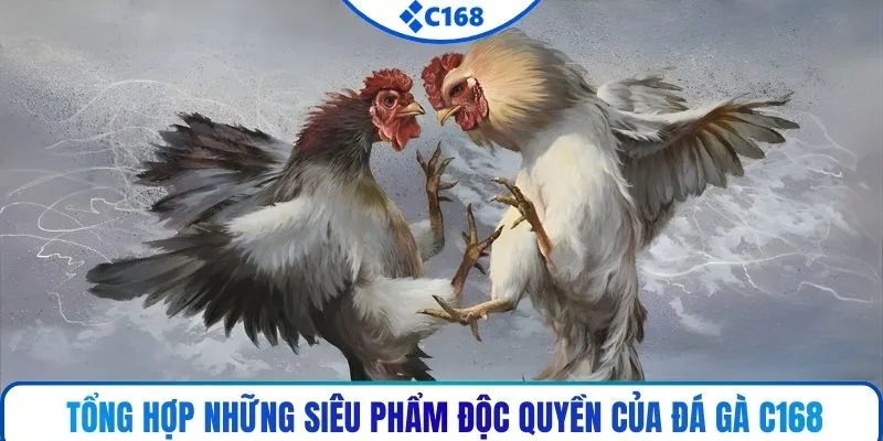 Tổng hợp những siêu phẩm độc quyền của đá gà C168